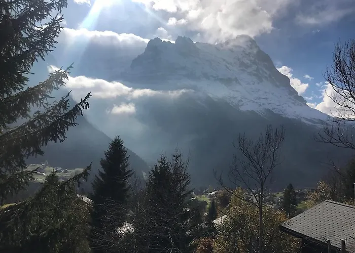 Ruthchen Dağ evi Grindelwald